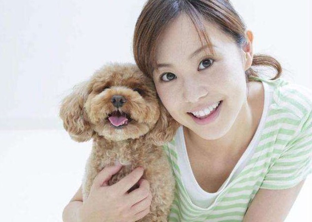 泰迪犬最“可怕”的4个地方，这么多人不养，真的是有原因的