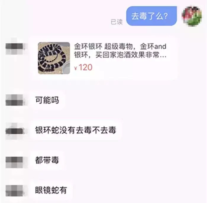 少女网购毒蛇当宠物蛇养银环蛇被快递送达主人被咬进医院！